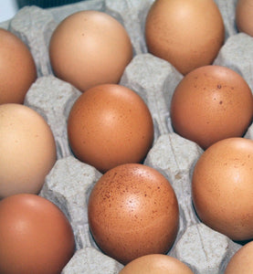20 Small Free-Range eggs