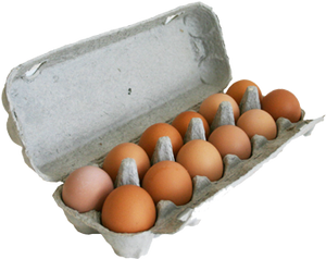 Mixed Grade Free-Range Eggs - 12 eggs  in Dozen Packs